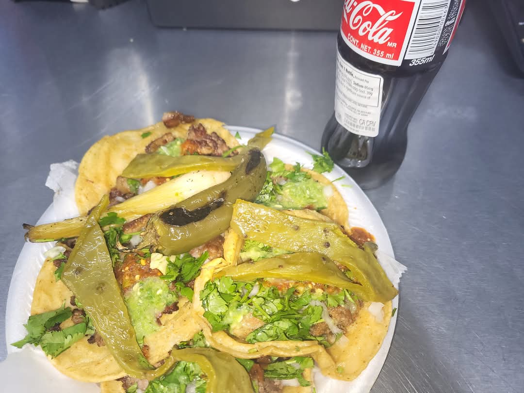 Taqueria Los Sobrinos LLC