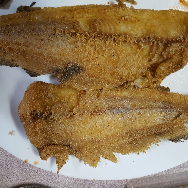 Fresh Catfish