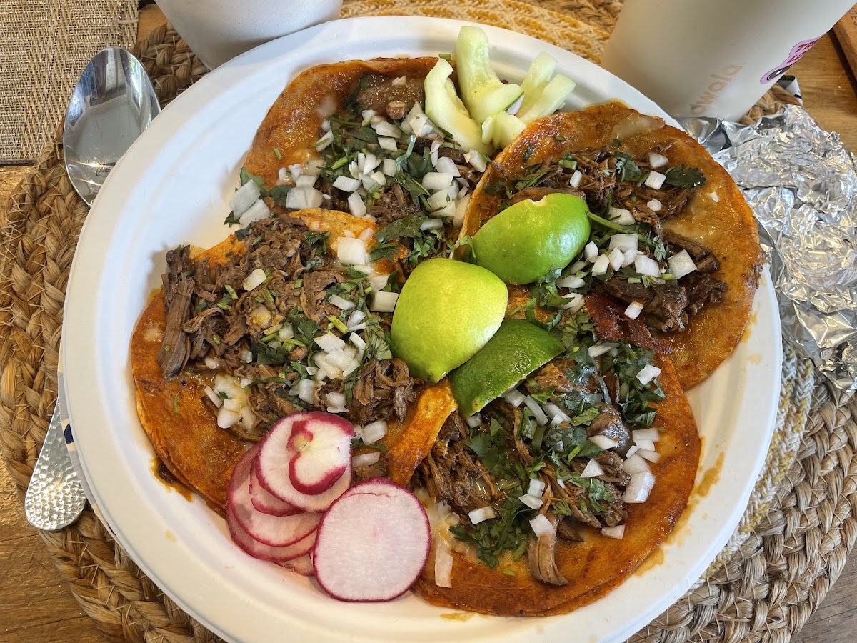 El Taco Loco LLC
