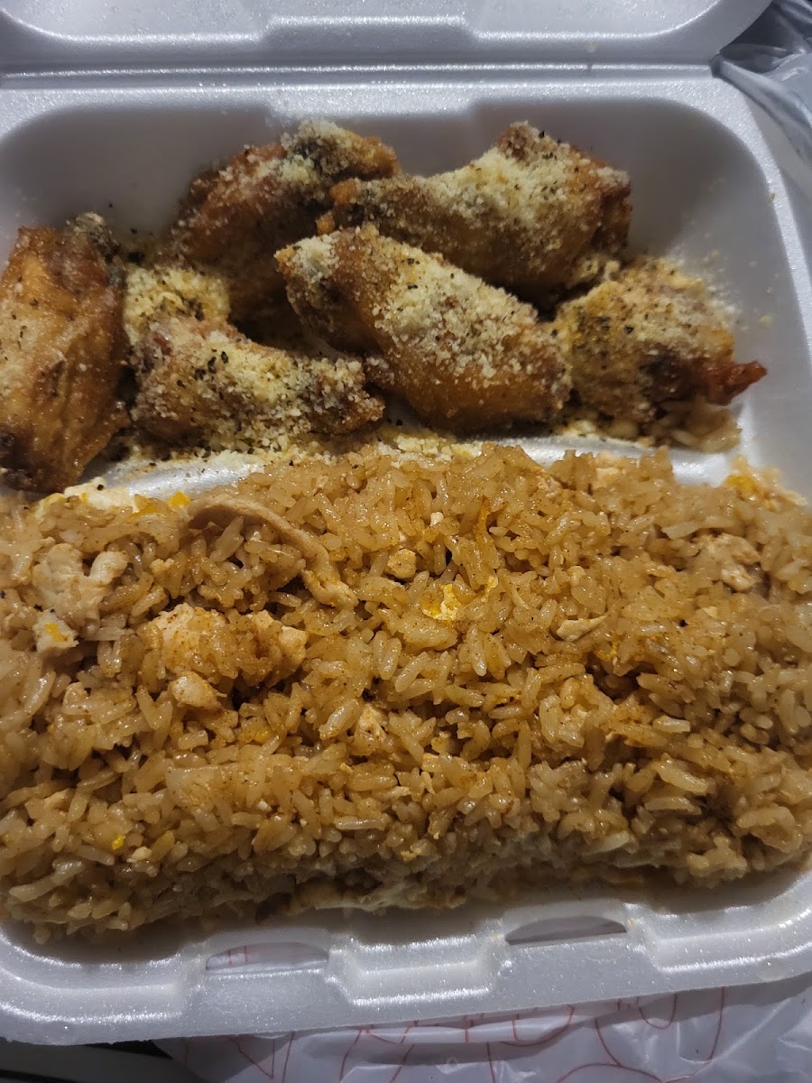 Wing Plus