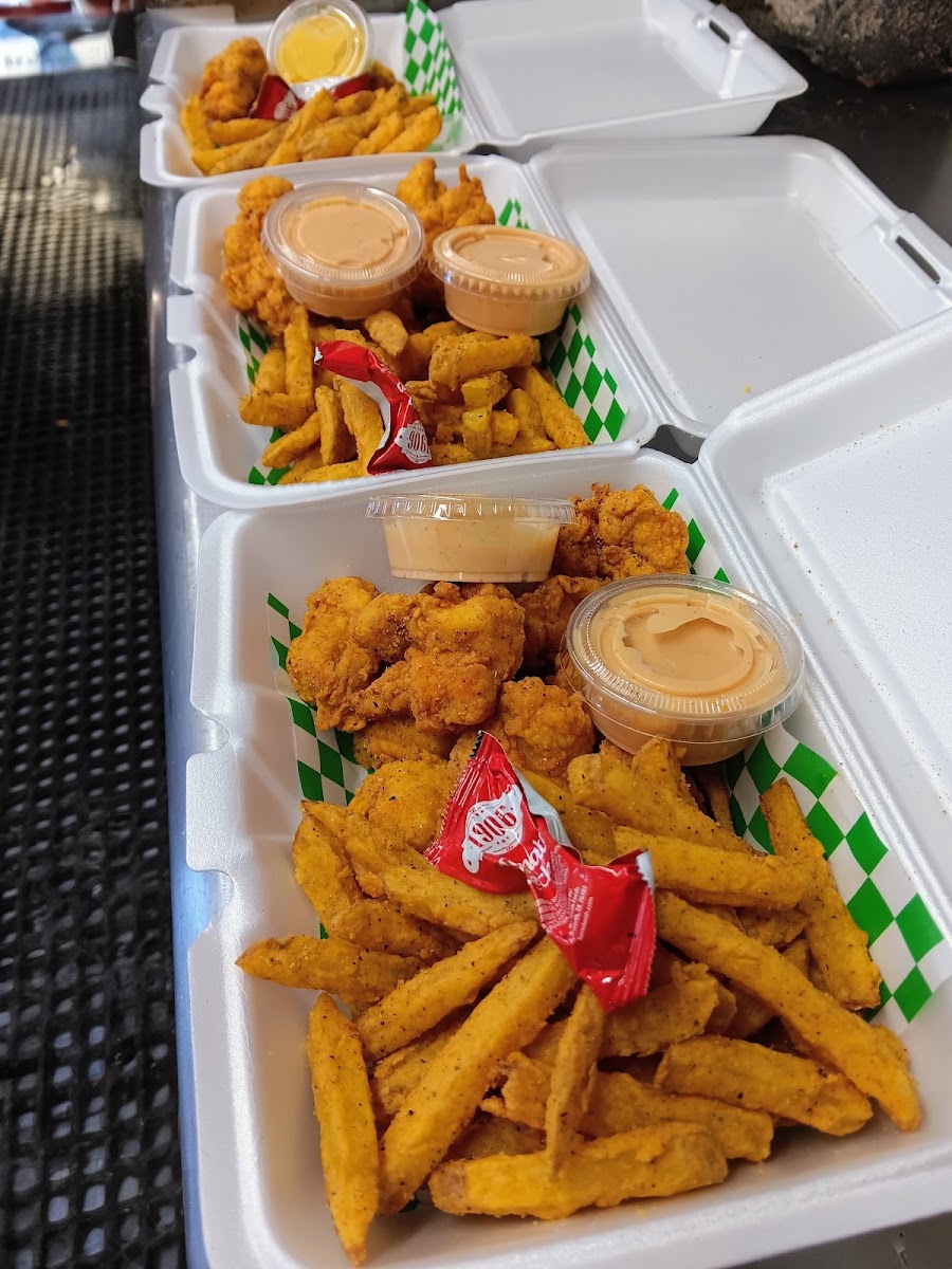 Rollin' Fatties Food Truck Recreational Park