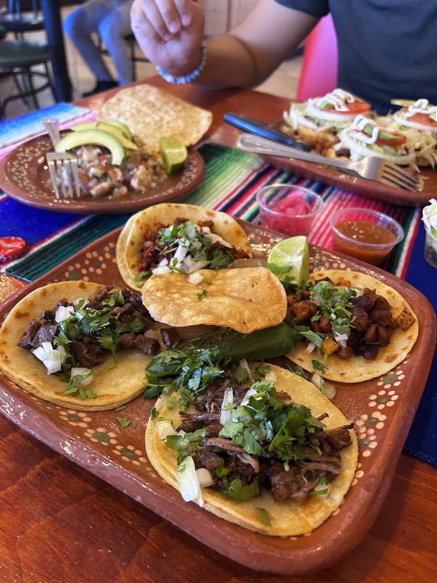 Tacos Y Miches V7