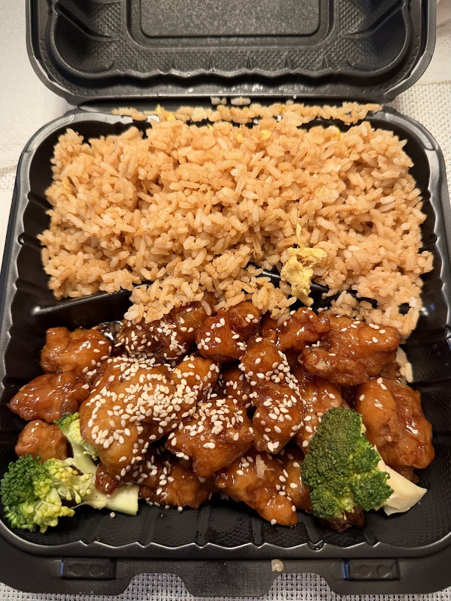 The Big Wok