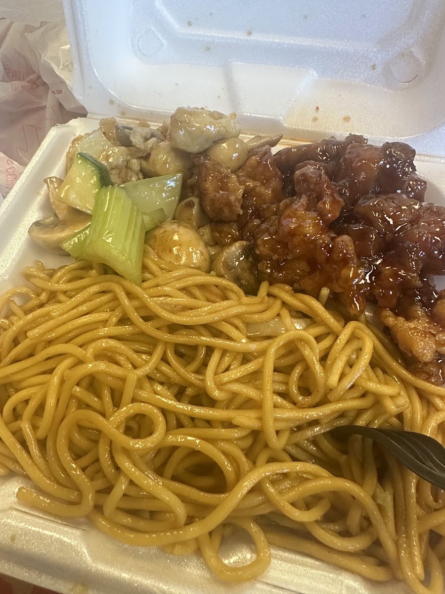 Panda Kitchen Chinese