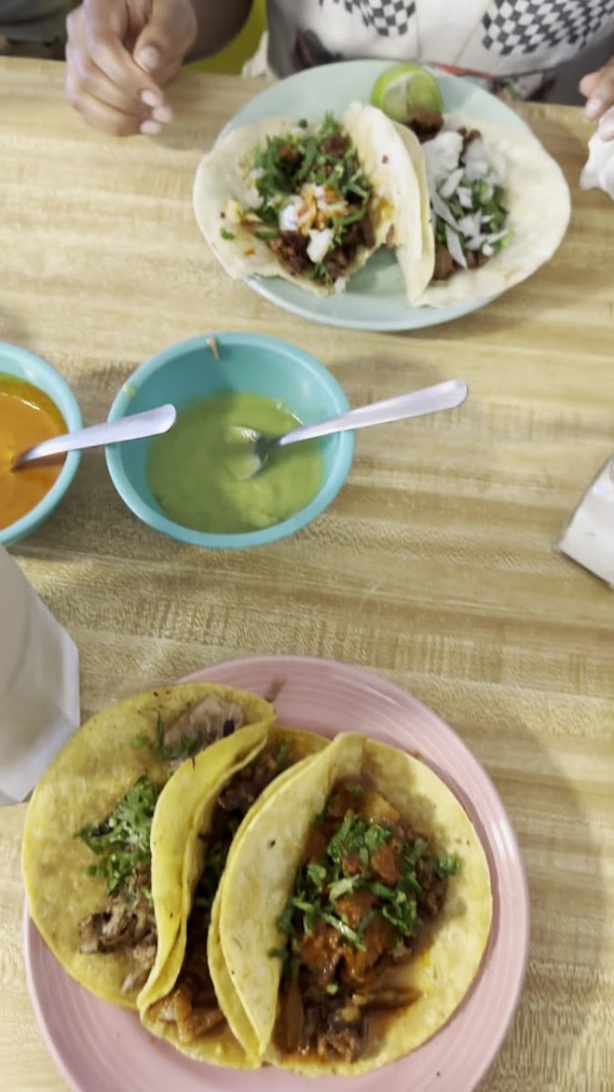 Takiza Mexicana