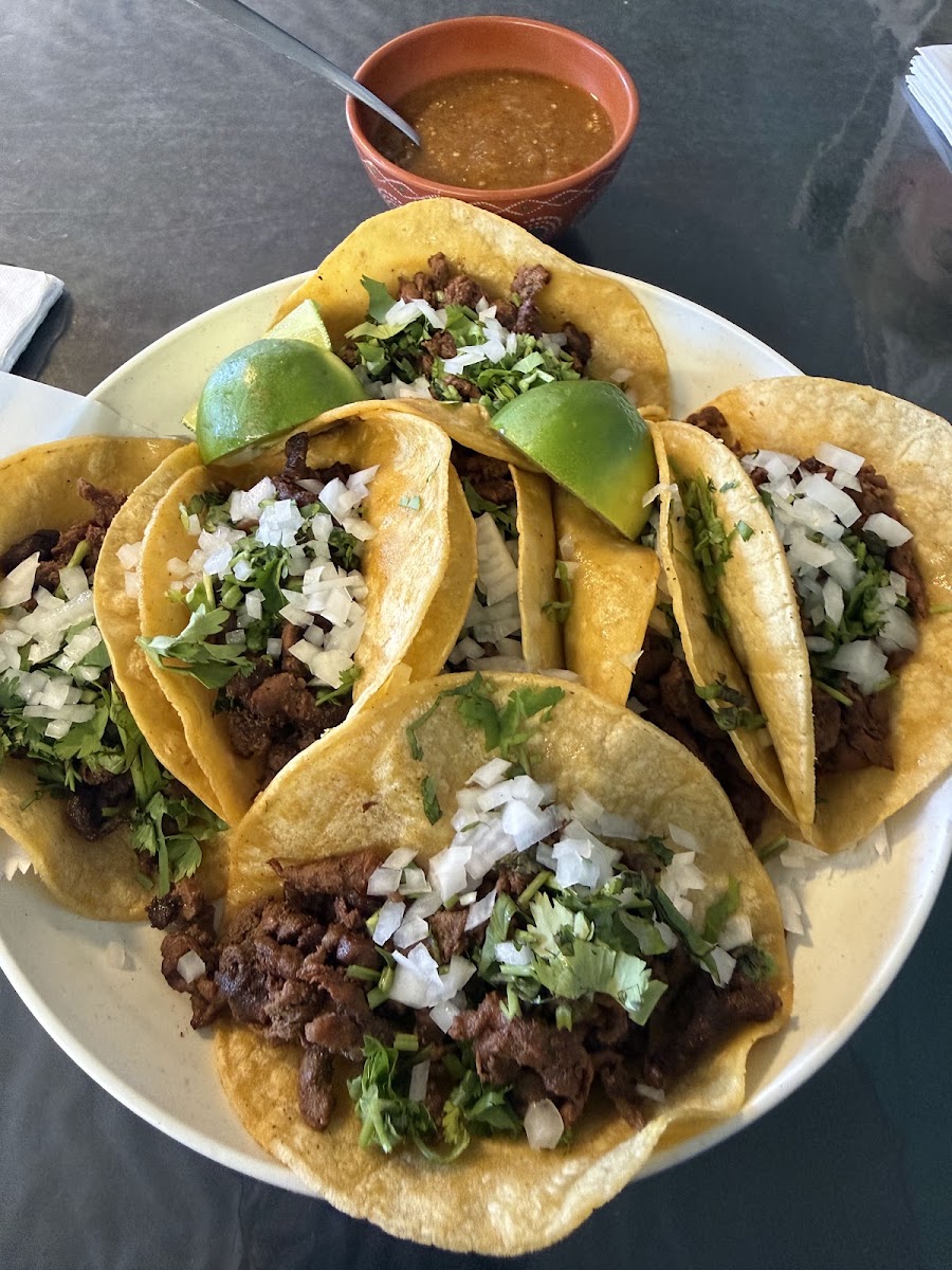 Takiza Mexicana