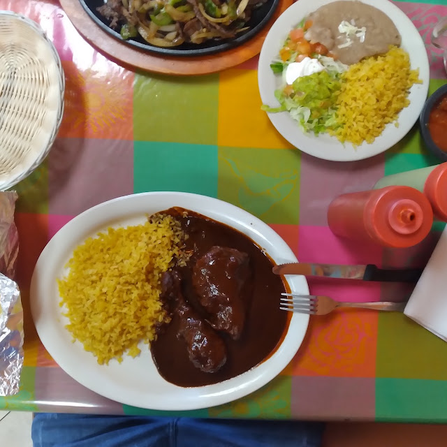 Mlchicken Mole