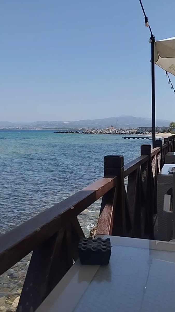 Ada Cafe