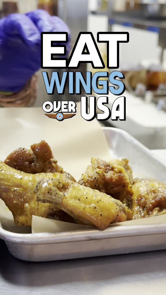 Wings Over USA - Commerce
