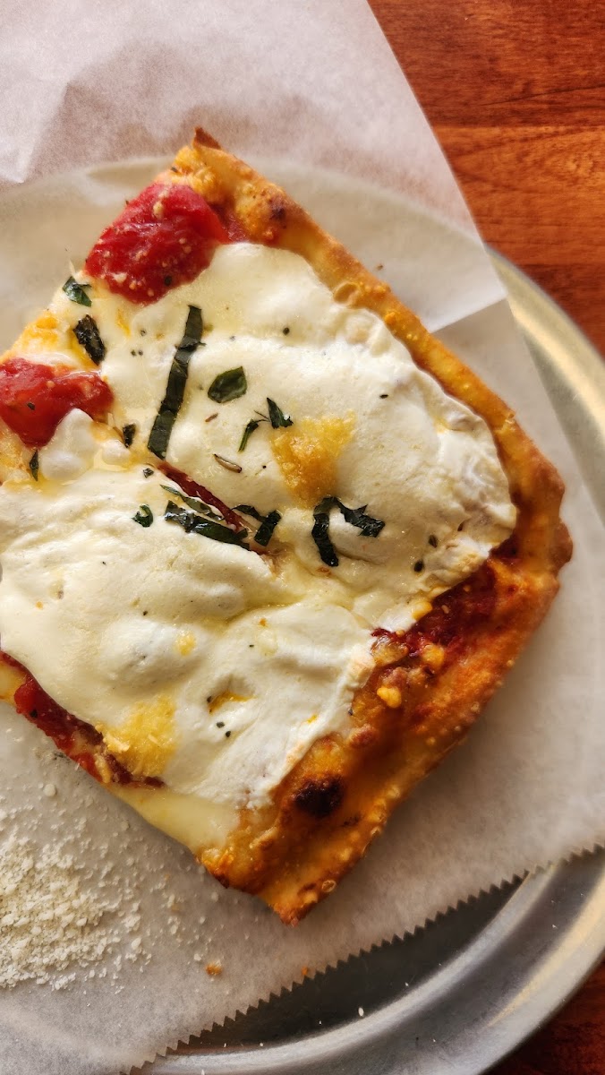 Village Pizza 10588