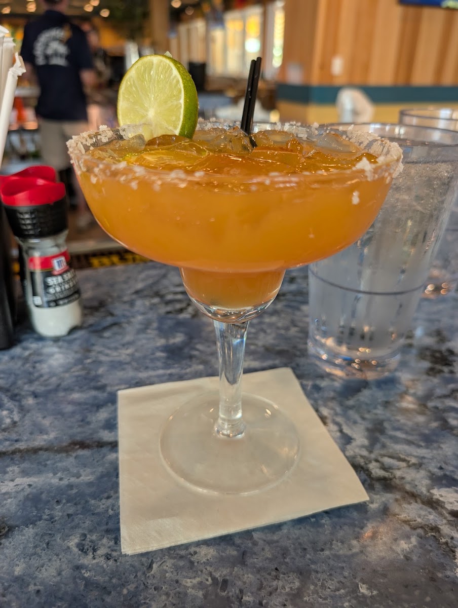 LandShark Bar & Grill - Cape Cod