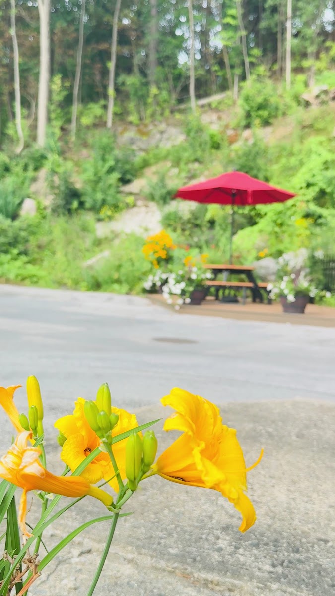 Sweet Rice Thai Cuisine