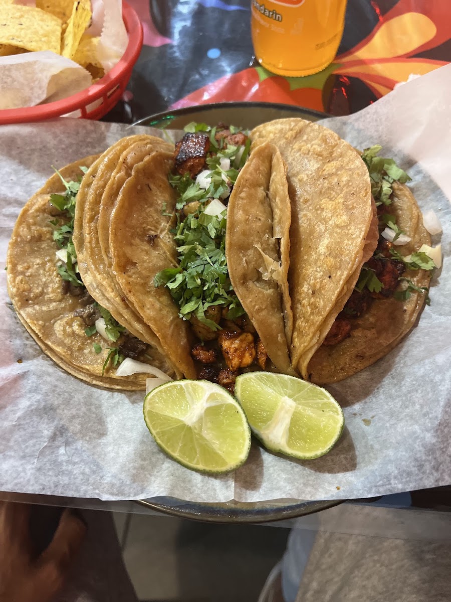 Los Inmortales Fondita Con Sabor Latino!