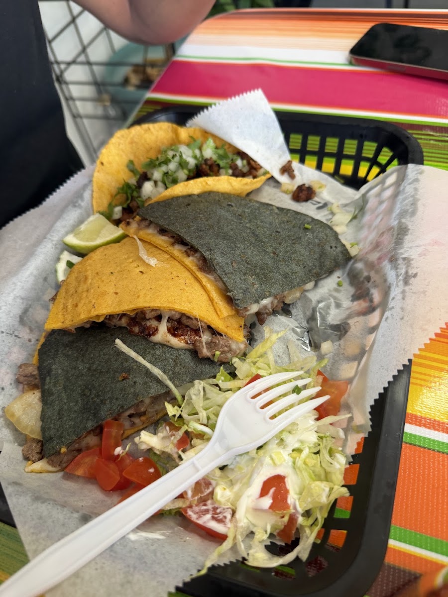Taco Bus Cruz Linares