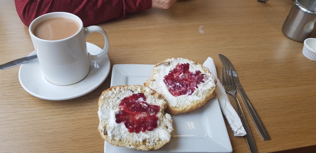 Wholesome Cafe