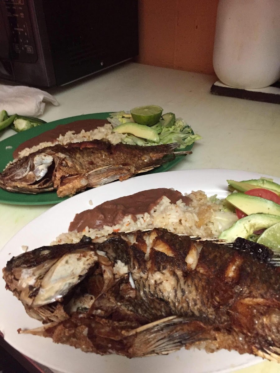 Taqueria y Pupuseria la Union