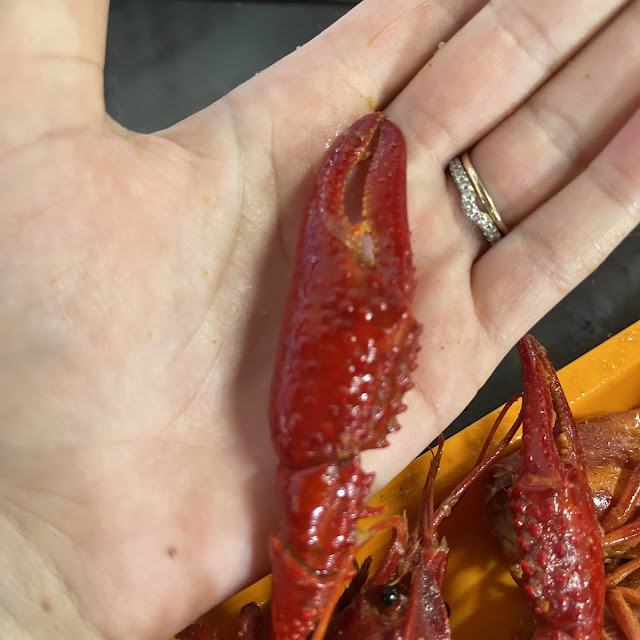 Crawfish
