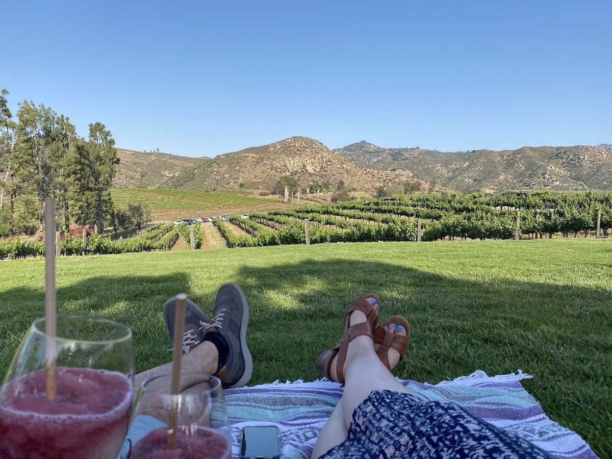 Amalfi Cucina Italiana at Orfila Vineyards