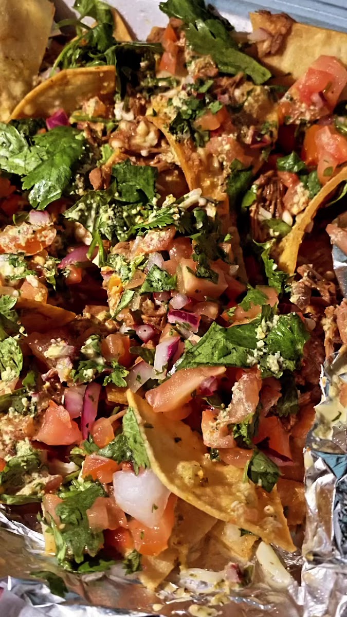 Best Tex Tacos & Tamales