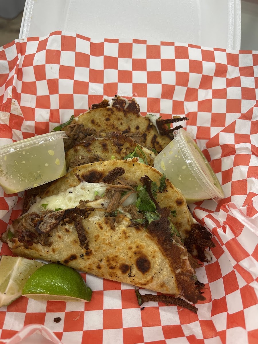 Best Tex Tacos & Tamales