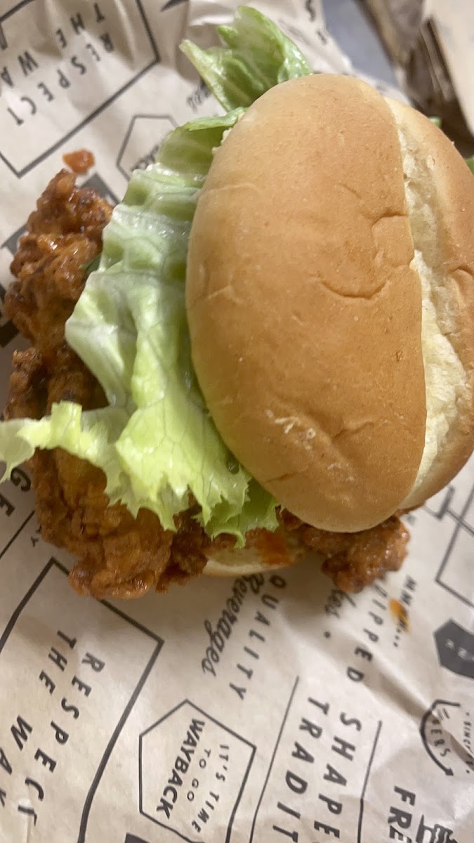 Wayback Burgers