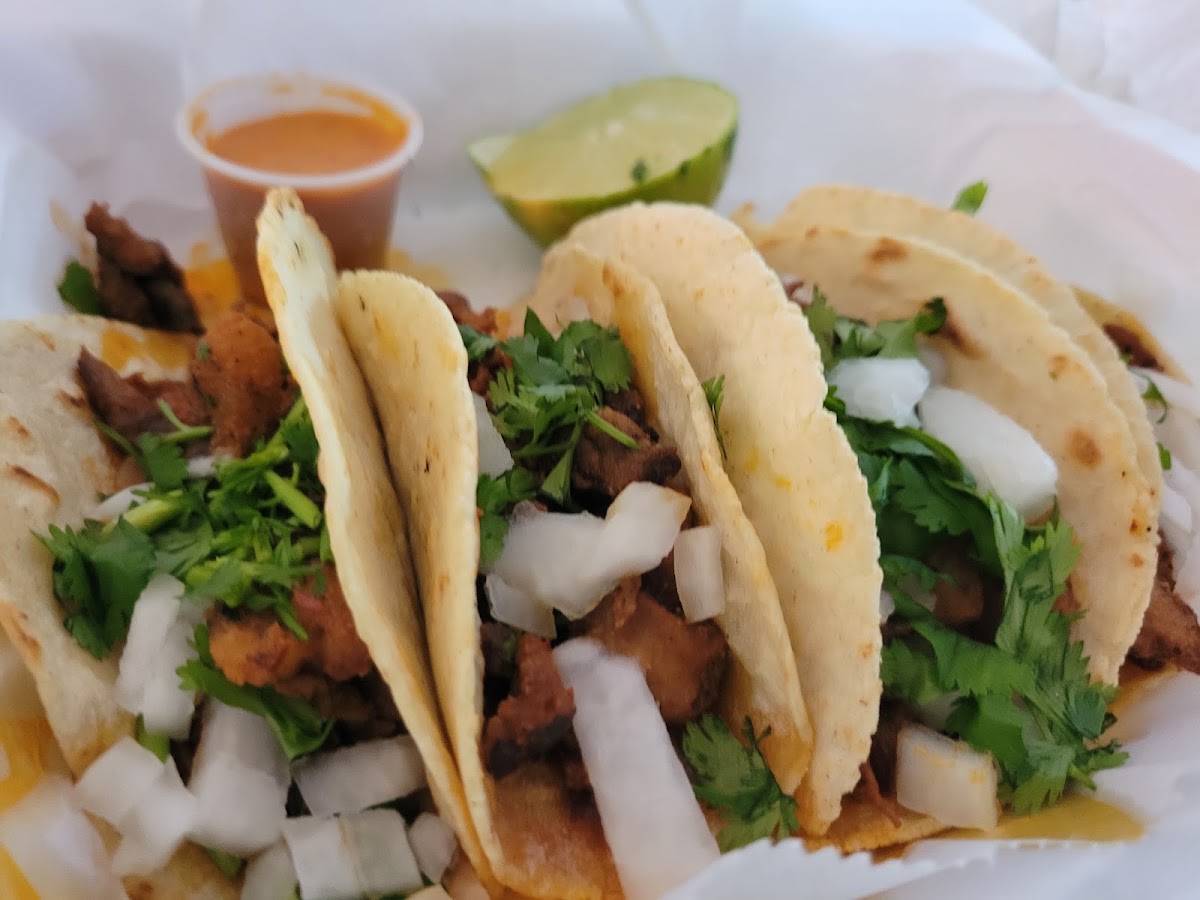 TACO ANTRAX