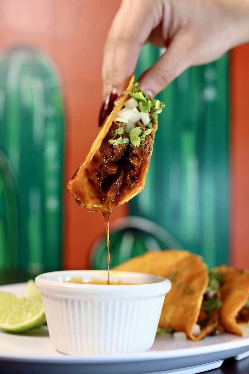 Taqueria La Patrona