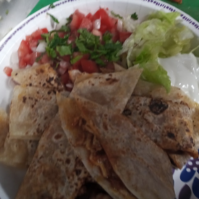 Asada Quesadilla