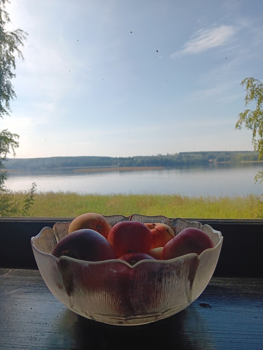 Kahvila-Ravintola Rantakelo Oy