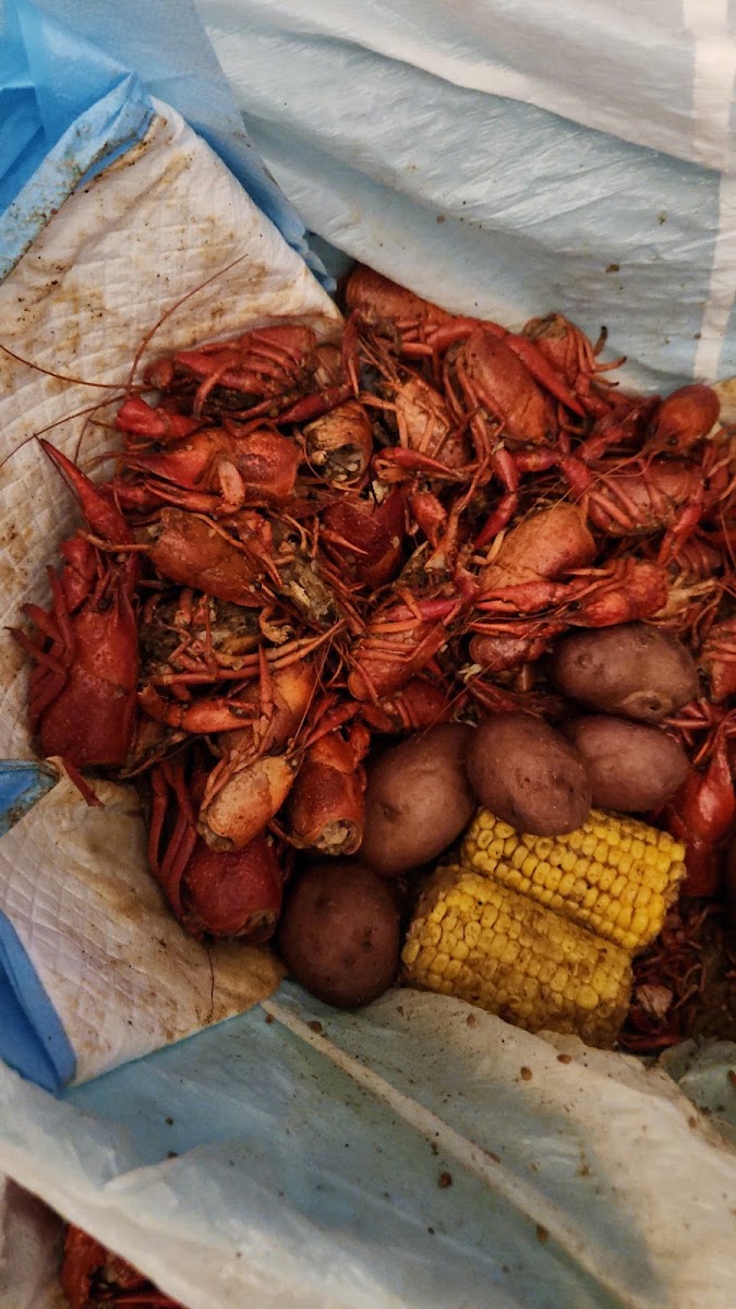 Lil' E's Crawfish LLC