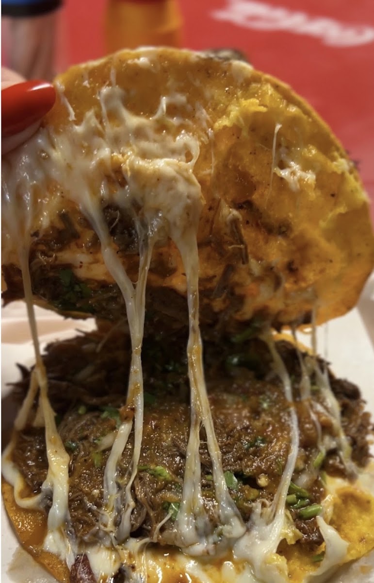 Tacos El Tijuanense