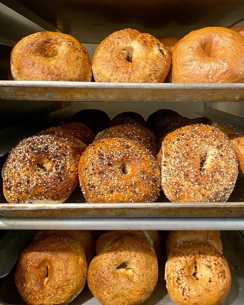 Wee Bird Bagel Cafe