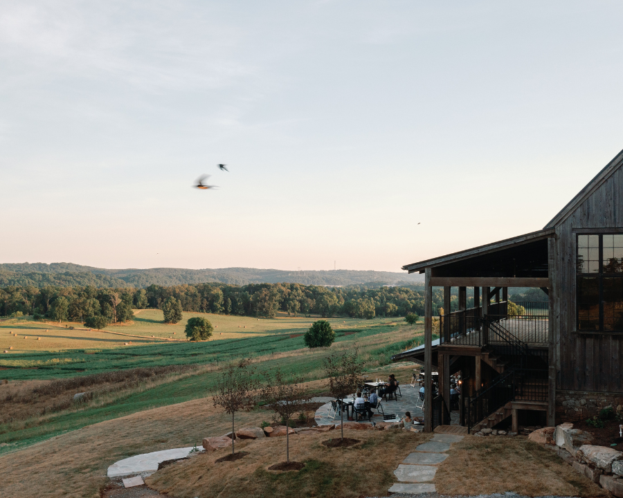 Wilder at Windy Hill Farm and Preserve