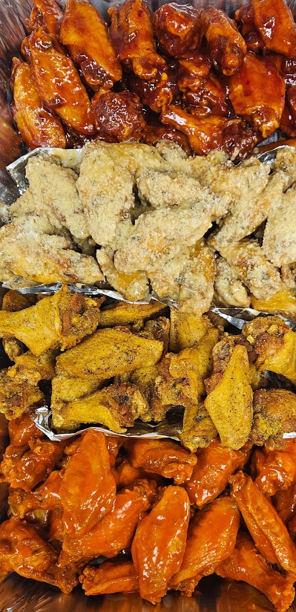 WS Wings-N-Fins