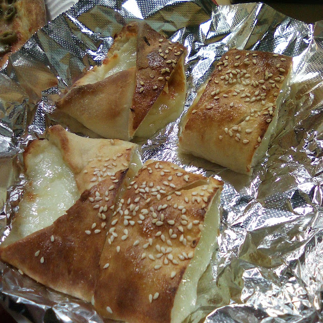 Only Mozzarella Calzone
