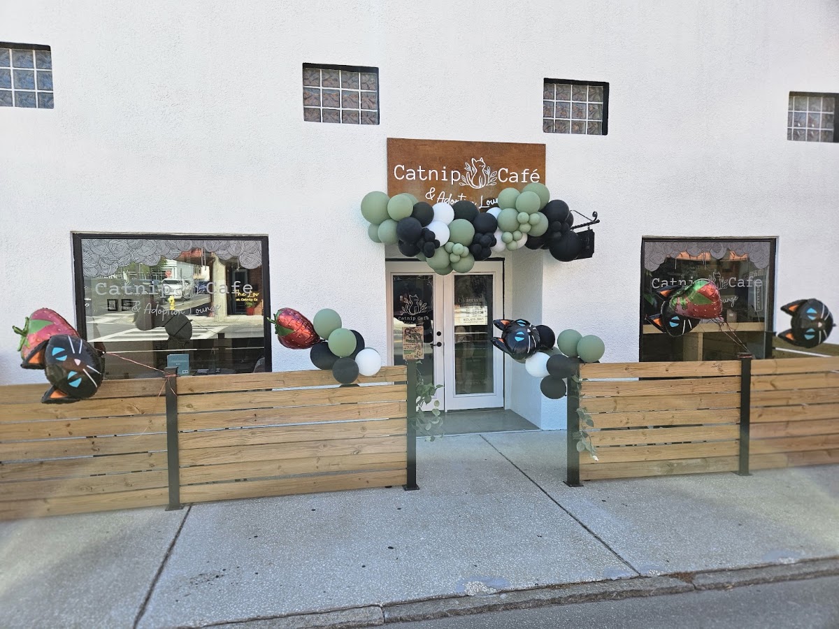 Catnip Café and Lounge