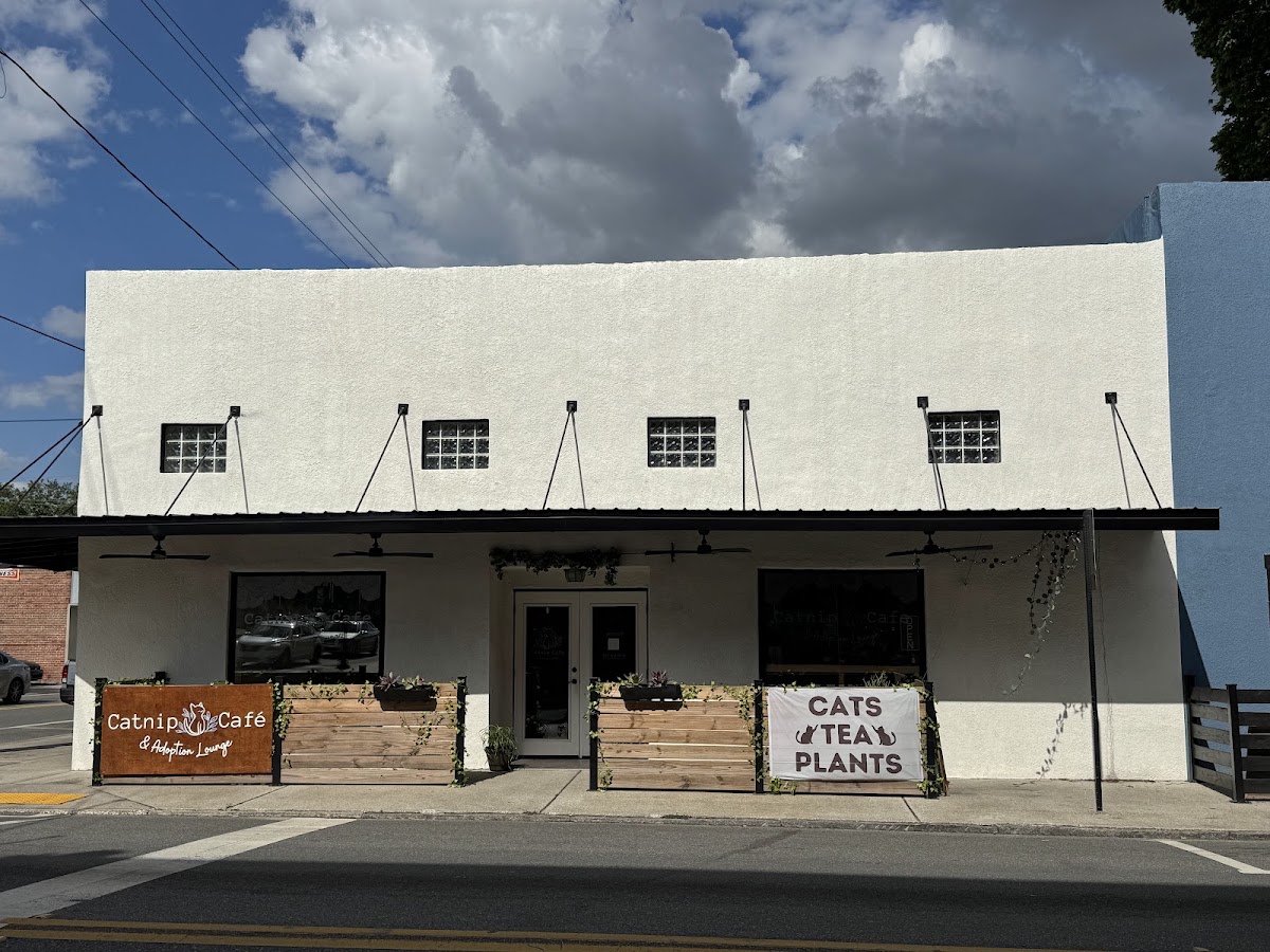 Catnip Café and Lounge