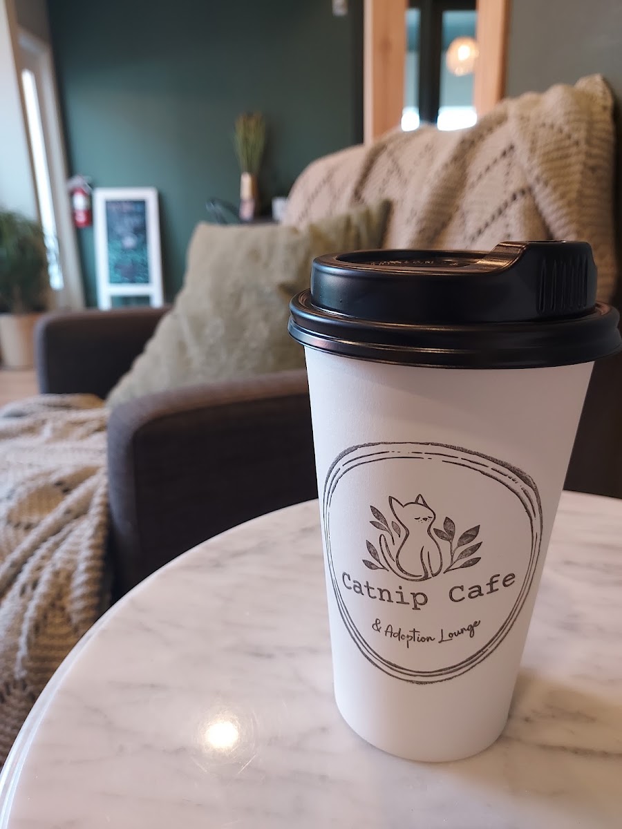 Catnip Café and Lounge