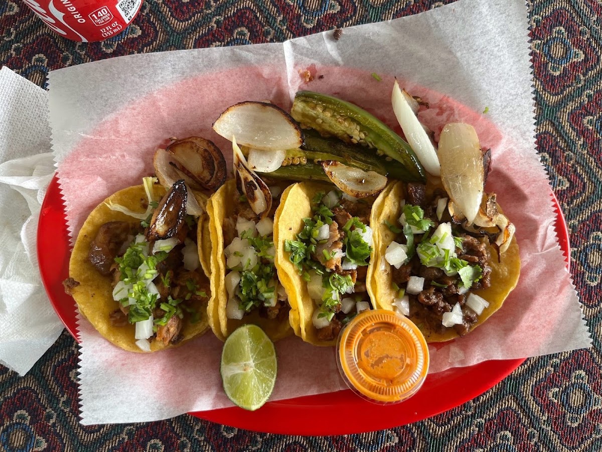 Taqueria el Manantial
