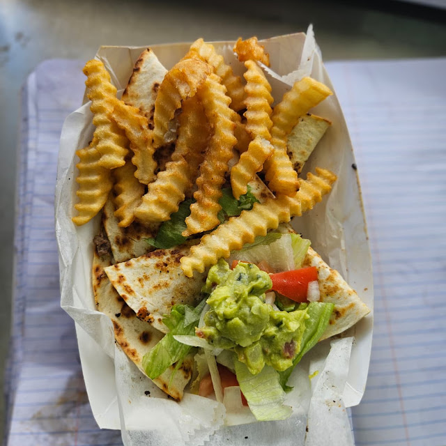 Gyro Wrap with Fries