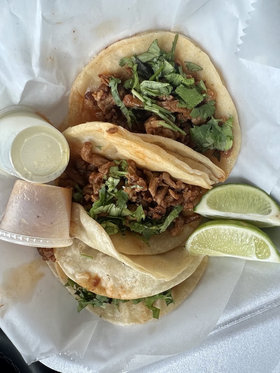 Taqueria el lobo solitario