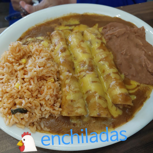 Chicken Enchiladas
