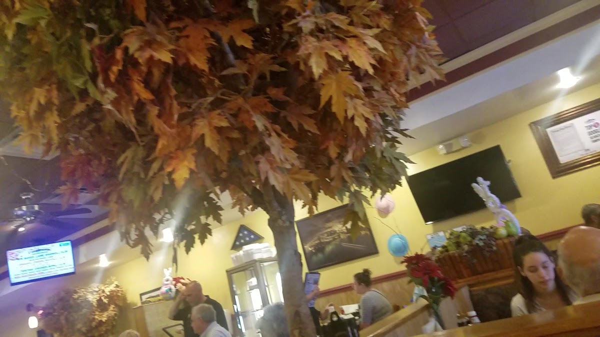 Central Park Family Restaurant