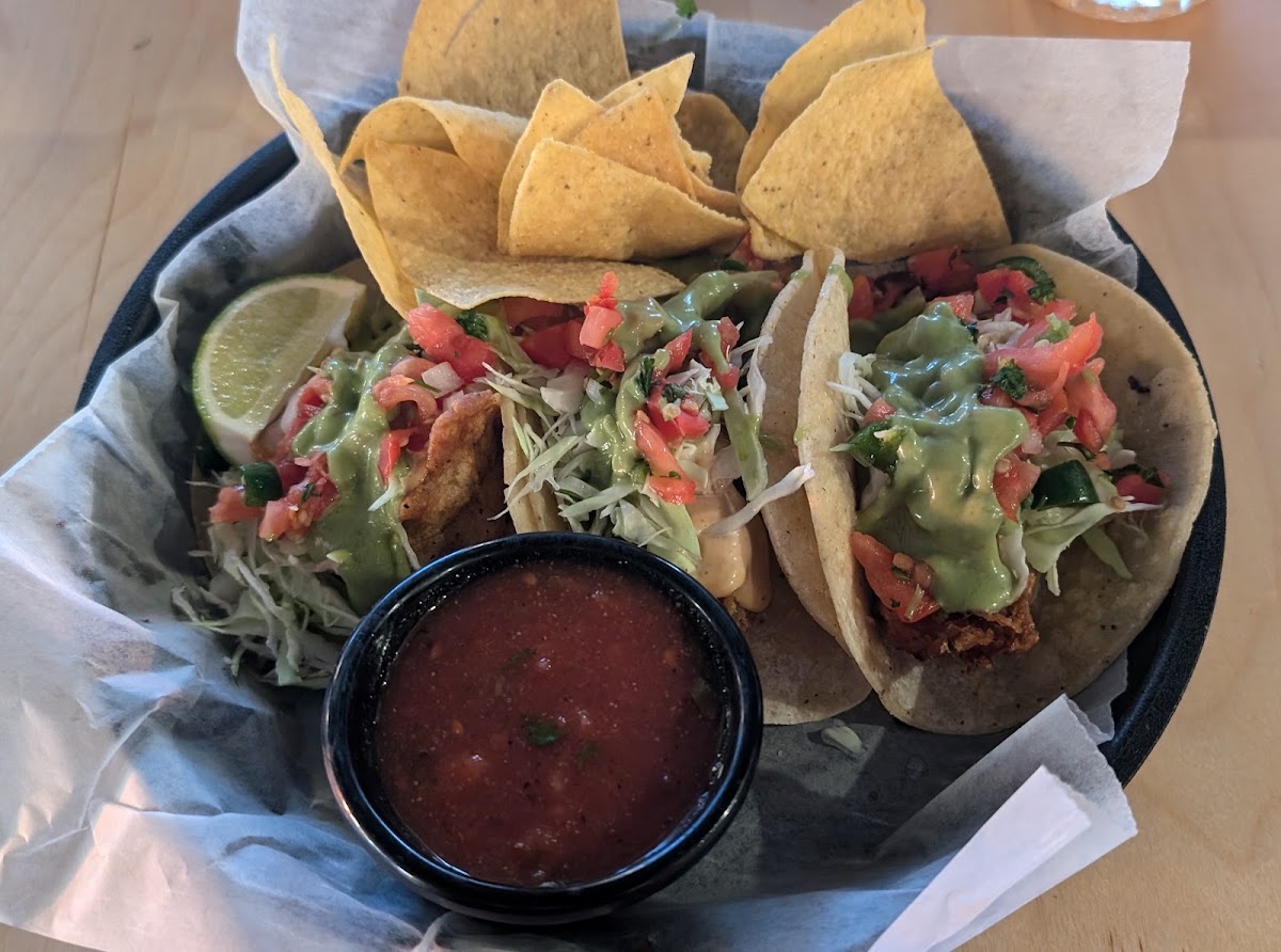 Shady Taco