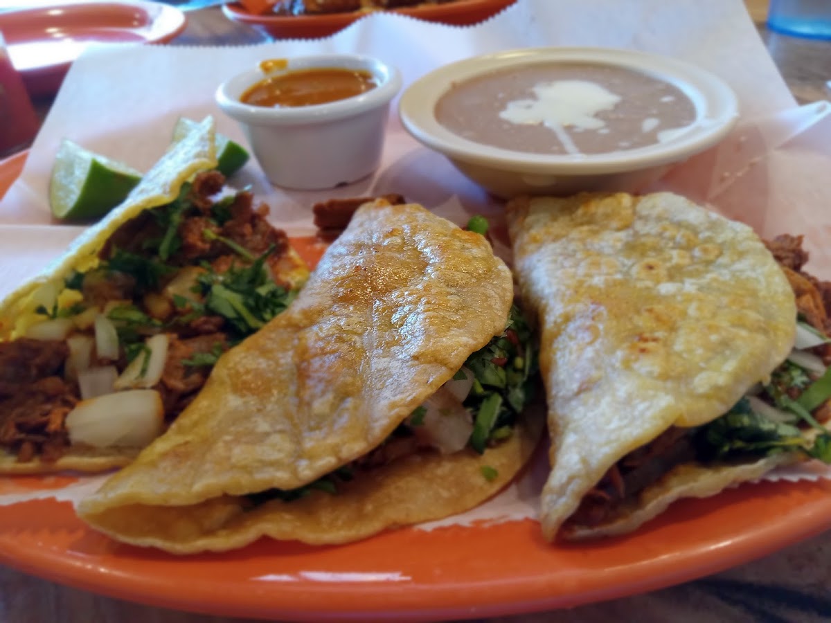 Iguanas Mexican Grill