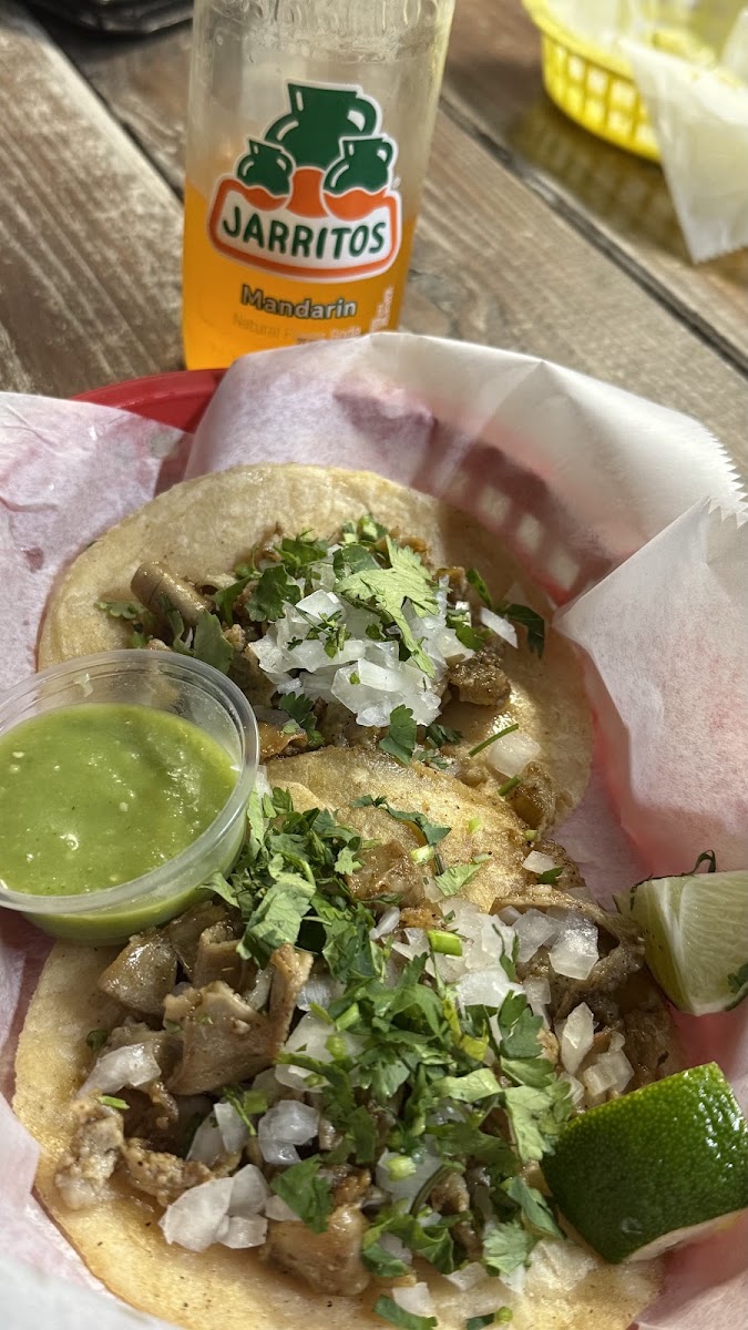 El Tacolgando