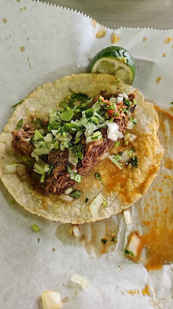Taquería El Viejon | Mexican