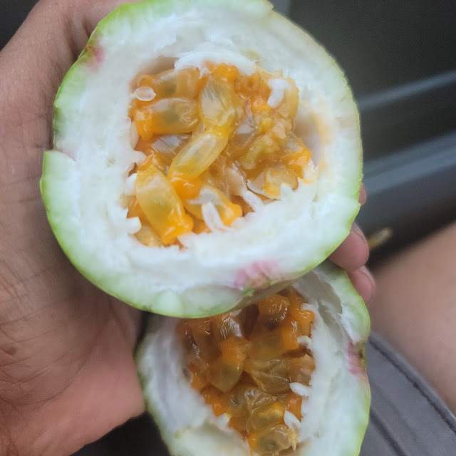 Maracuyar Passion Fruit