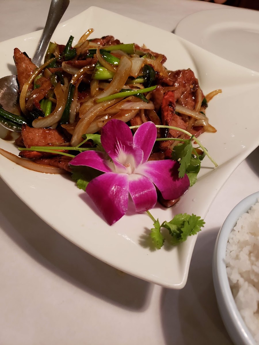 HoneyBee Asian Bistro & Sushi