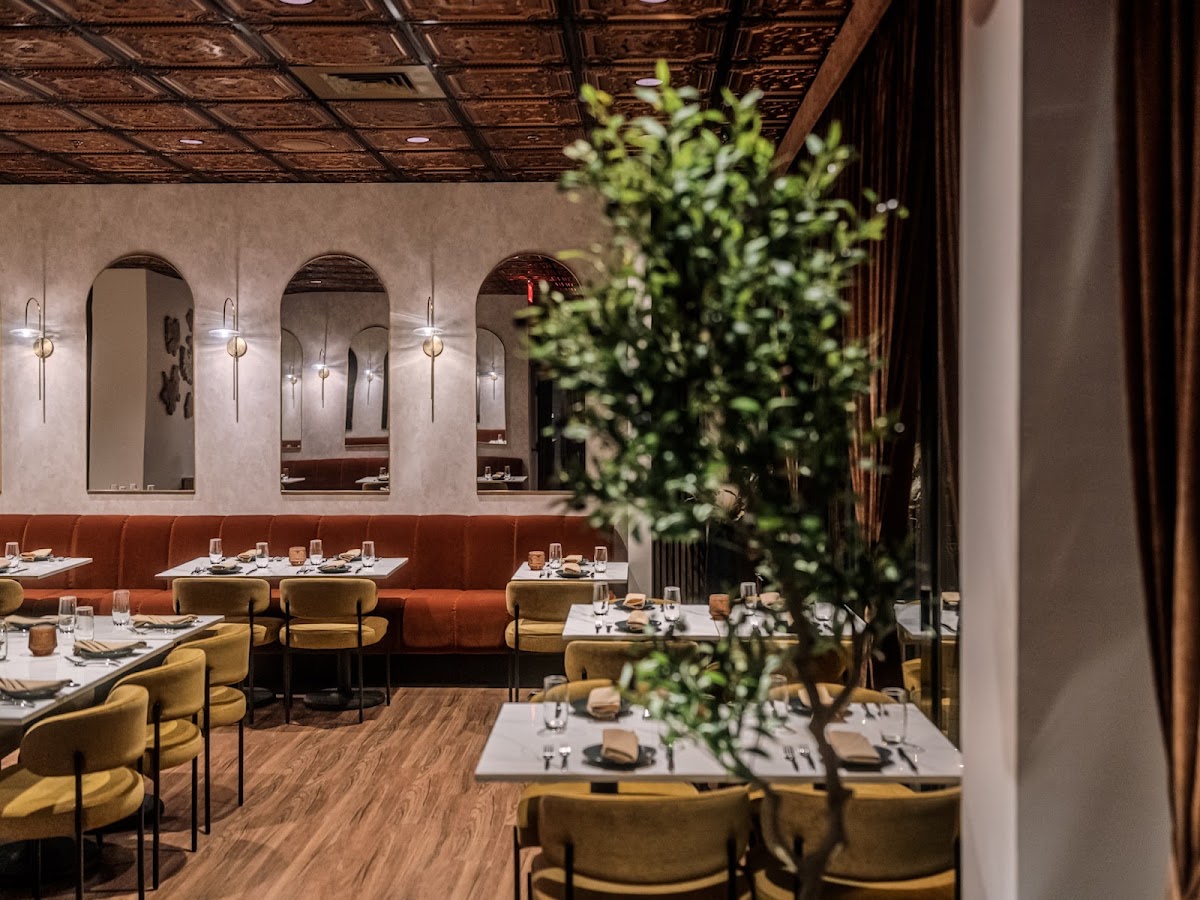 L'Olivo Trattoria